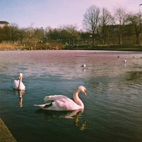 holographic episode 26-03-31