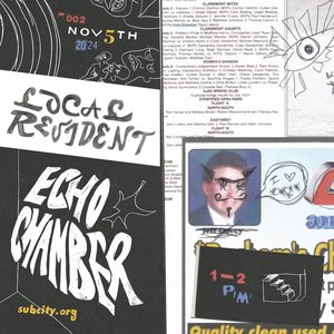 Local Resident: echo chamber on 05/11/2024 from 13:00-14:00