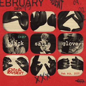 Local Resident: black satin glove on 04/02/2025 from 13:00-14:00