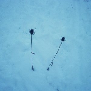 SenzaMente w/ AcidoCielo