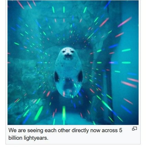 BOBORDER HOPPER episode 26-03-11