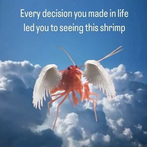 BOBORDER HOPPER: BOBO B2B NORTH STAR on 14/01/2026 from 15:00-17:00