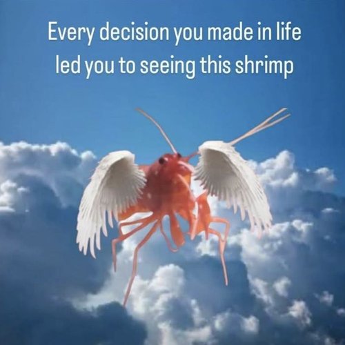 BOBORDER HOPPER episode 26-01-14