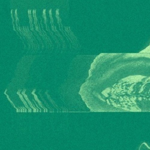 The Disruption Nexus episode 26-04-02