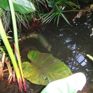 BOBORDER HOPPER: Cheeky References O_O on 03/12/2025 from 15:00-17:00