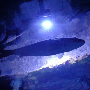 BOBORDER HOPPER: Water and everything fluid - 280126 on 28/01/2026 from 15:00-17:00