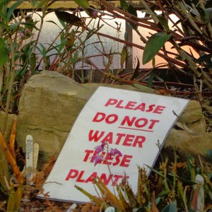 BOBORDER HOPPER: Vally Day Prep on 11/02/2026 from 15:00-17:00