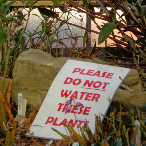 BOBORDER HOPPER episode 26-02-11