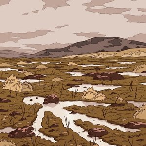Forest Jazz: Bogs on 14/05/2026 from 14:00-15:00
