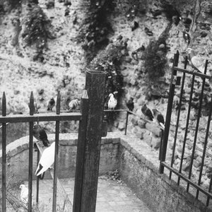 Paradise Lost: ep. 26 on 13/03/2026 from 20:00-21:00