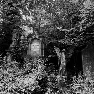 haloCollapse: etherealGaze on 15/08/2026 from 12:00-13:00