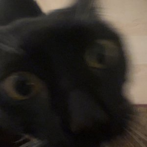 Freaks and Geeks: Spooky Set on 29/10/2025 from 15:00-16:00