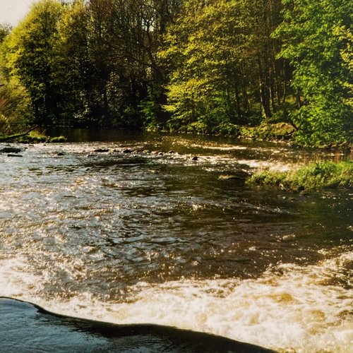 Wrapped up in Books episode 26-05-19