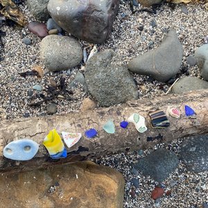 Wrapped up in Books: poor things on 10/02/2026 from 19:00-20:00