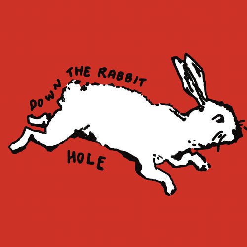 DOWN THE RABBIT HOLE!