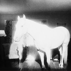 haloCollapse: horseGaze on 17/01/2026 from 12:00-13:00