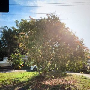 From Inside the Tub: Episode Fourteen on 17/03/2026 from 16:00-17:00