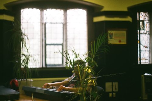 Still House Plants and Horse Whisperer subcity session 00001
