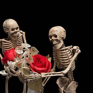She Loves Me: The Skeleton on 23/07/2026 from 19:00-20:00