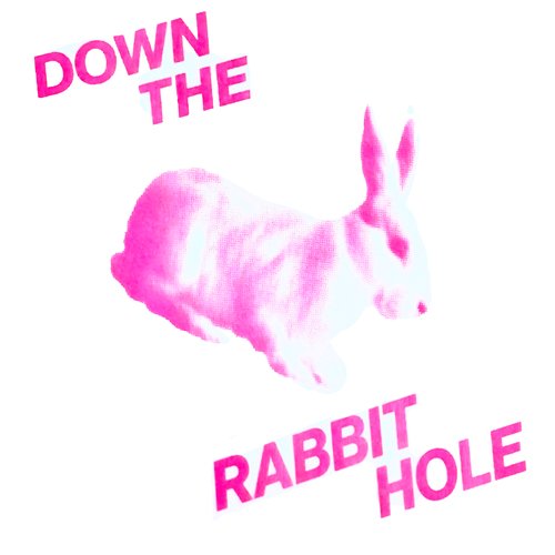 DOWN THE RABBIT HOLE!