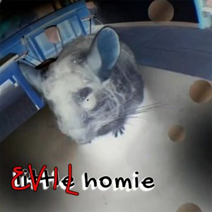 Subcity Freestyle: evil homie >:3 on 18/06/2026 from 23:00-00:00