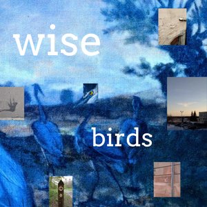 Wise Birds