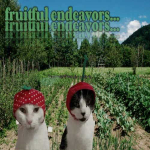 BOBORDER HOPPER episode 26-03-25