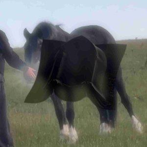 Pointed Arches: 2.2: Dream radio interlude on 17/07/2026 from 13:00-14:00