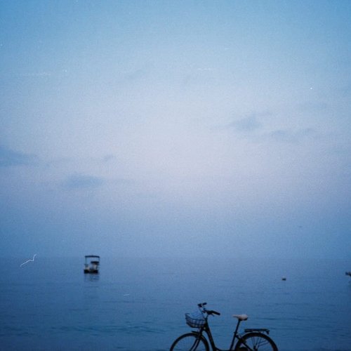 Wool-gathering episode 25-10-31