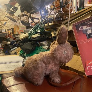 Wrapped up in Books: the second body on 07/10/2025 from 19:00-20:00 Wrapped up in Books: the second body on 07/10/2025 from 19:00-20:00