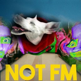 Not FM