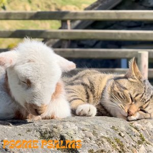 psome psalms episode on 04/12/2025 from 18:00-19:00