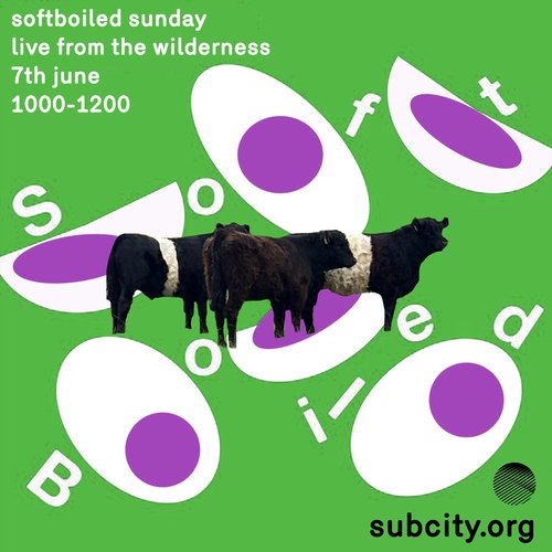 Subcity Soft Boiled episode 26-06-07