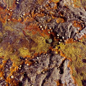 Subcity Freestyle: tekno reggaetton on 12/11/2025 from 19:00-20:00