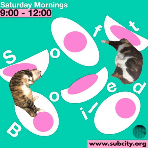 subcitysoftboiledgrace