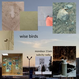 Wise Birds episode on 04/11/2024 from 11:00-12:00