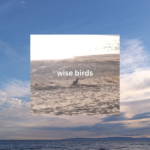 Wise Birds episode 26-06-26
